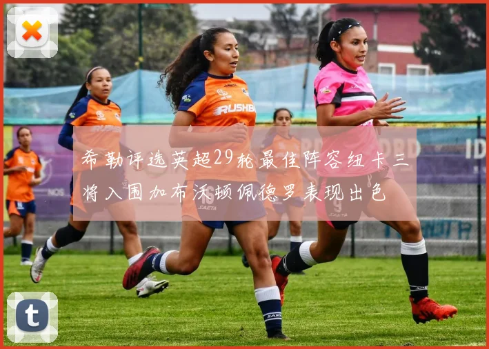 希勒评选英超29轮最佳阵容纽卡三将入围加布沃顿佩德罗表现出色