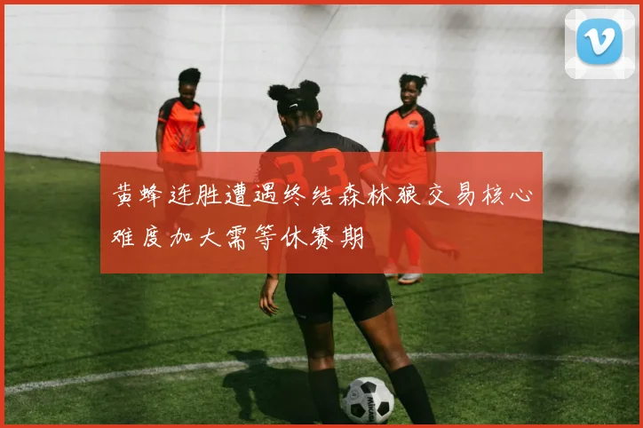 黄蜂连胜遭遇终结森林狼交易核心难度加大需等休赛期