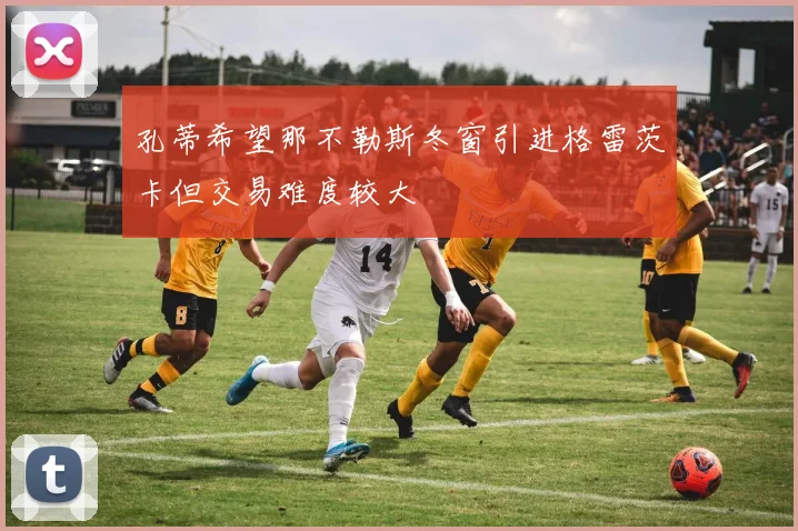 孔蒂希望那不勒斯冬窗引进格雷茨卡但交易难度较大