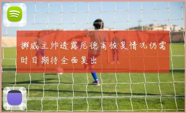 挪威主帅透露厄德高恢复情况仍需时日期待全面复出