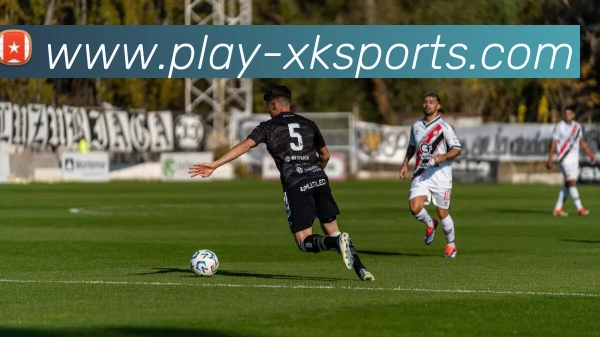 星空体育平台生态图