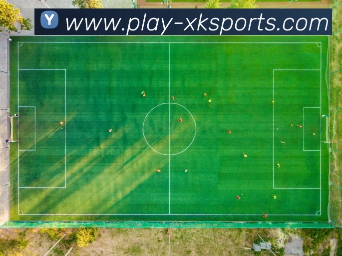 星空体育APP 封面图